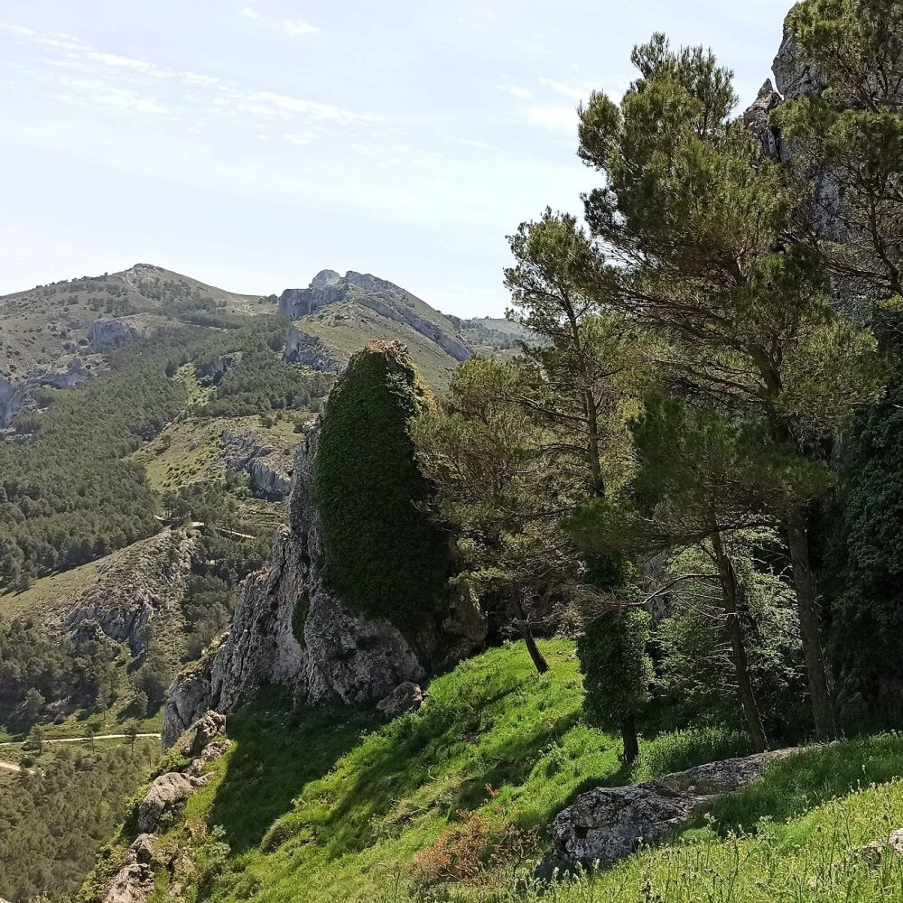 IMG_20220515_122556 IMG_20220515_122556