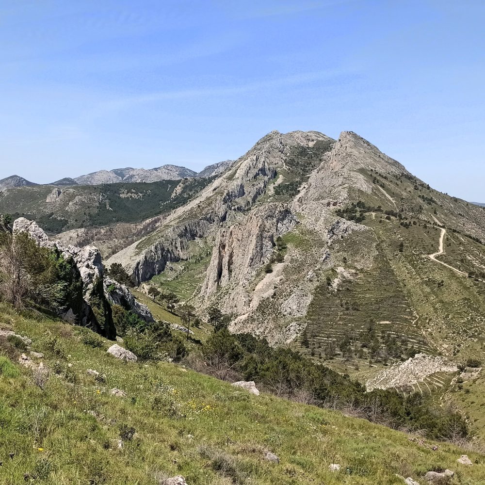 castells 1 castells 1