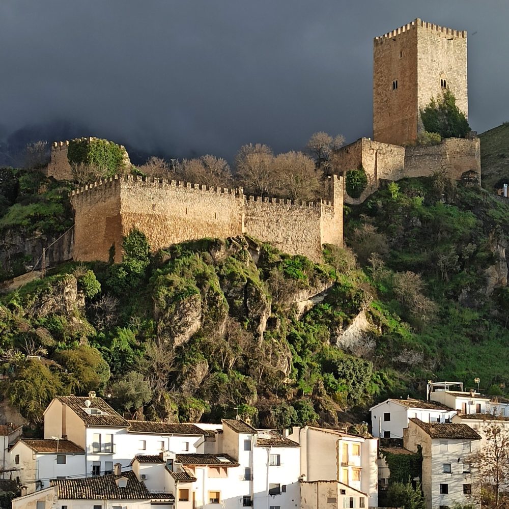 cazorla publi