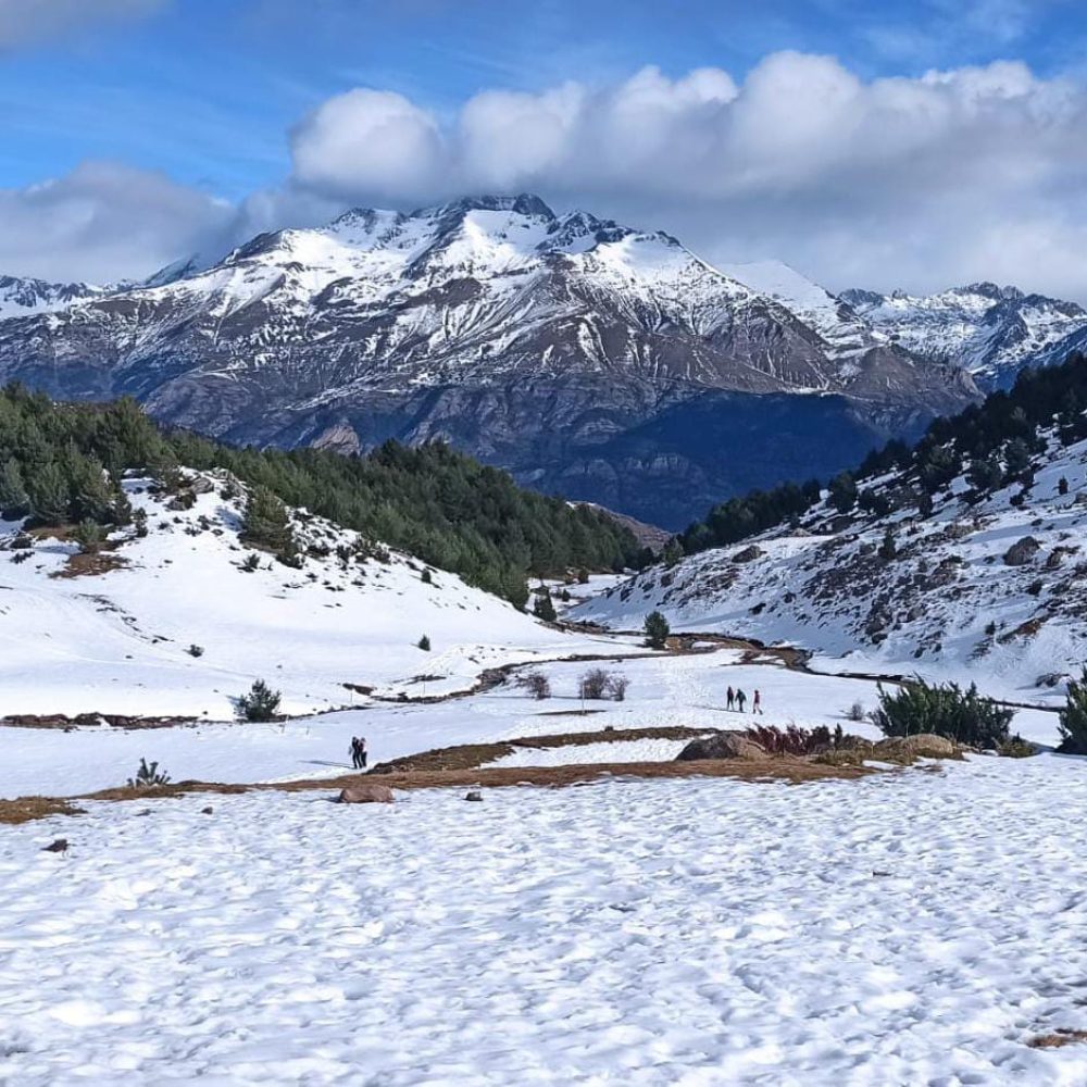 nieve cuadrado